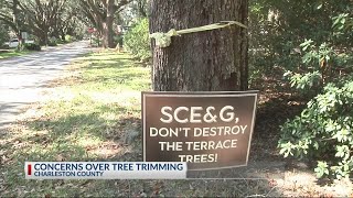 JI homeowners concerned with SCE\u0026G tree trimming