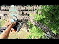 BUCKET OPERATORS POV REMOVING A WALNUT IN BRISTOL, TENNESSEE!