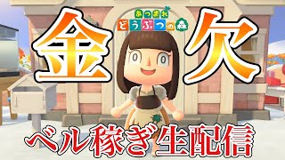 【あつ森】お金がない！！雑談しながらベル稼ぎ生配信！【あつまれどうぶつの森】