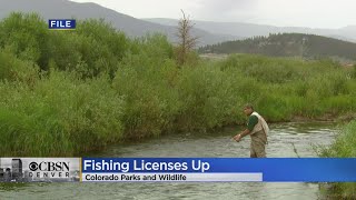 Colorado Sees Big Spike In Applications For Fishing Licenses