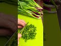 Green Onion & Vegetable Cutting Skills #satisfying #short