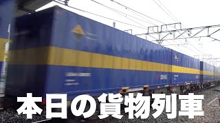 【貨物列車】本日の貨物列車　東海道本線2059番列車　Today's freight train