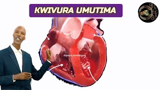 KWIVURA INDWARA Y'Umutima by NZUNGU