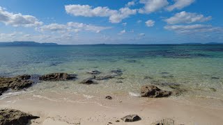 【八重山諸島】黒島ダイビング~Diving in KUROSHIMA 2~  【4K映像】