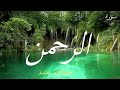 surah al rahman mishary rashid alafasy no ads