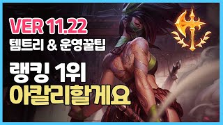 프리시즌 아칼리 랭킹 1위 아칼리할게요ㅣ템트리 라인전 초반 딜교 후반 운영법ㅣ롤 프로게이머 관전 l Patch 11 23ㅣ정복자ㅣ균열ㅣ