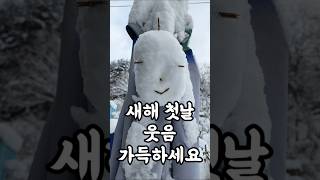 새해 첫날 웃음으로 가득하세요! 임실에 엄청난 눈