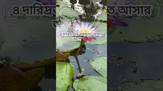 নবিজি সাঃ বলেছেন এই ৫ টা জিনিস আসার আগে ৫ জিনিস কে কাজে লাগাও #মিজানুর_রহমান_আজহারী #a2zvlog100 #waz