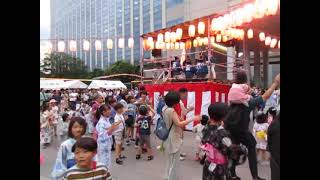 牛ちゃんマンボ_深川ギャザリア盆踊り大会 2024【Gyuchan Mnabo / Bon Odori】