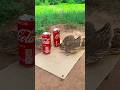 simple diy underground quail trap using 2 cans $ paper #shorts