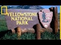 La historia de Yellowstone | National Geographic en Español