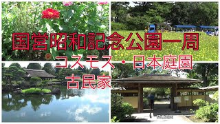 【国営昭和記念公園の2024秋9月23日】コスモス祭り（9月14日～10月20日）日本庭園・古民家・フードフェスグルメカーニバル（9月20日～29日）等を見ながら一周してみた【東京観光デートスポット】