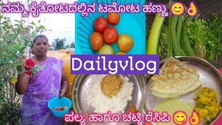 Dailyvlog ನಮ್ಮ🍅 ಟೊಮೊಟೊ ಗಿಡದ  ಟೊಮೆಟೊಹಣ್ಣಿನ ಚಟ್ನಿ 😋👌/ ದೋಸೆಗೆ ಆಲೂಗಡ್ಡೆ ಪಲ್ಯ ರೆಸಿಪಿ 😋👌