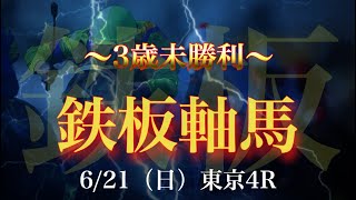 2020  6月21日【日】鉄板軸馬　全レース中鉄板級の軸馬教えます。