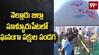 నెల్లూరు జిల్లా సూళ్ళూరుపేటలో ఘనంగా పక్షుల పండగ | Nellore District Flamingo Festival | 99 TV Telugu