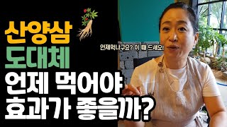 산양삼(장뇌삼) 효과 제대로 보려면, 이 때 드세요!  산양삼 먹는 시기