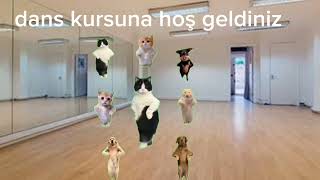 dans kursuna hoş geldiniz 🩷💫😸