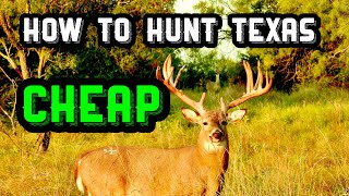 Fantastic Texas Hunting Trips for Cheap