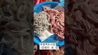 포항죽도시장 회 3만원치 양 어마무시하네요