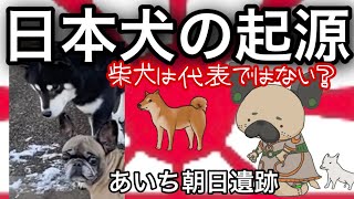 日本犬の起源〜日本犬って何？〜縄文犬弥生犬