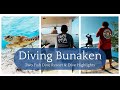 Discover the Underwater Wonders of Bunaken with Two Fish Divers #scubadiving #indonesia