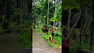 Village children jumping style   Natural swimming pool 😯😁 #short #shorts #short video #youtube short