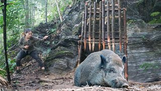 Surviving the cold winter, wild boar trapping skills, survival alone