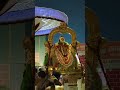 sri gajendra varadhar dhavanothsavam purappadu towards temple dhavanothsavam triplicane