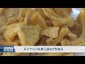 〈吹替版〉台湾産パイナップル 中国依存から脱却