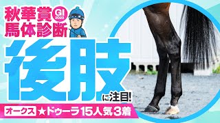 【秋華賞 2023】イチオシ馬はリバティアイランドにあらず！牝馬三冠戦線最終戦は”後肢”に注目！某大手牧場の元スタッフが見抜く馬体診断！GⅠフォトパドック【競馬予想】