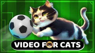 CAT GAMES - Soccer Ball. Videos for Cats | CAT \u0026 DOG TV.