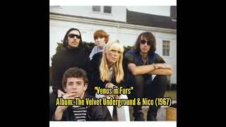 Top 10 Songs of The Velvet Underground Part 1 #shorts #short #thevelvetunderground