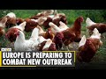 Europe is preparing to combat new outbreak of bird flu | Avian Influenza | WION News