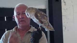 2014-06-22 12:01:54: Yarak Birds Of Prey Falconry Centre, Cullompton, UK