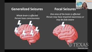 Ut Brainstorms: The Stimulated Brain