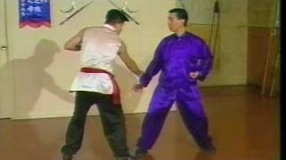 Choy Li Fut - Fighting Applications 1