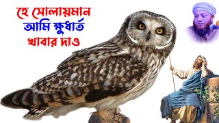 কামরুল ইসলাম আরেফী | kamrul islam arefi | kamrul islam arifi waz |  সোলায়মান নবীর বাড়ীতে দাওয়াত