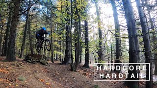 Hardcore Hardtail MTB - Custom Ragley Mmmbop