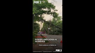 Power lines down in Glendale