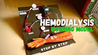 Hemodialysis working model _ biology project #science #schoolproject #medical _ Nakul Sahu Art