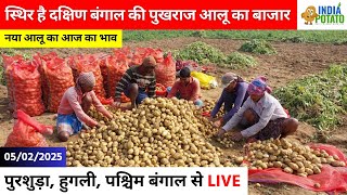 05/02/2025 : बंगाल की पुरशुड़ा का आज का नया आलू का भाव | New Potato Price in WB - India Potato News