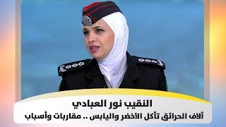 النقيب نور العبادي - آلاف الحرائق تأكل الأخضر واليابس .. مقاربات وأسباب - هذا الصباح