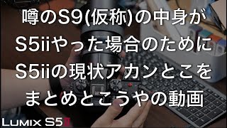 LUMIX S5iiの実は嫌なところ大発表とS9(仮称)の噂話