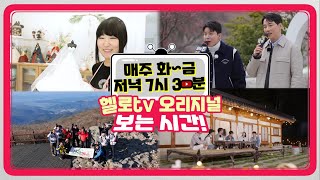 화~목 저녁 7시 반은 LG헬로비전 헬로tv 보는 시간😍｜LG HelloVision