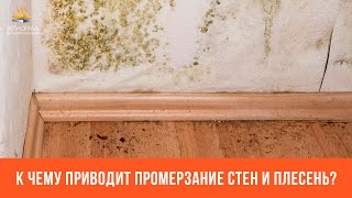 Как промерзание стен и плесень может повлиять на Ваше здоровье?