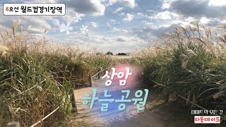 #31 하늘공원 가는 법 - 억새축제, 핑크뮬리