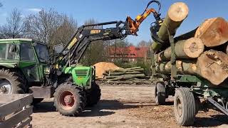 Buchenstämme laden mit Deutz 8006 und Ritter Verladezange - ökologischer Holztransport