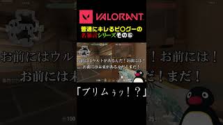 普通にキレるピ〇グーの名暴言シリーズその⑥「ブリムぅｯ！？」【VALORANT】