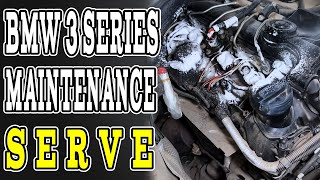 BMW 3 Series Immersive Maintenance Service！