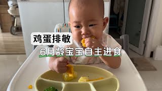 6月龄宝宝自主进食｜引入高敏食材鸡蛋